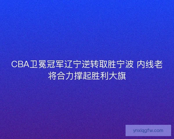 CBA卫冕冠军辽宁逆转取胜宁波 内线老将合力撑起胜利大旗